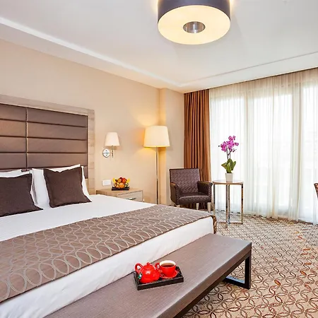 Nidya Galataport מלון 4*